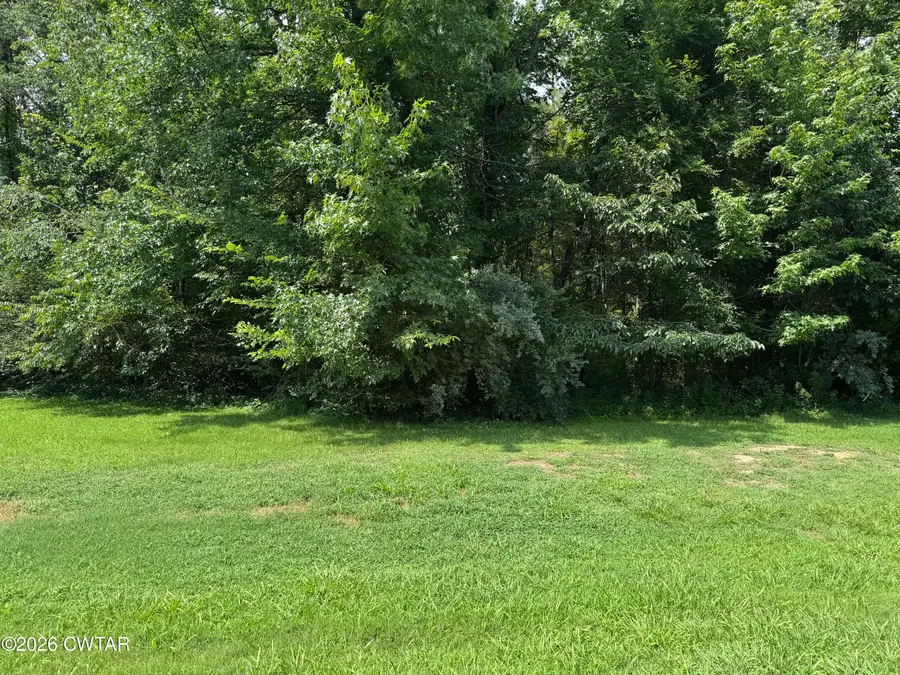 114A Pepper Tree Road, Jackson, TN 38305 - #3