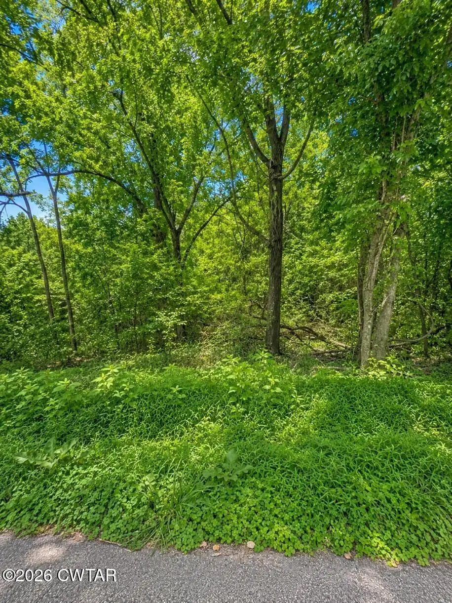 000 Reeves Street, Lexington, TN 38351 - #1