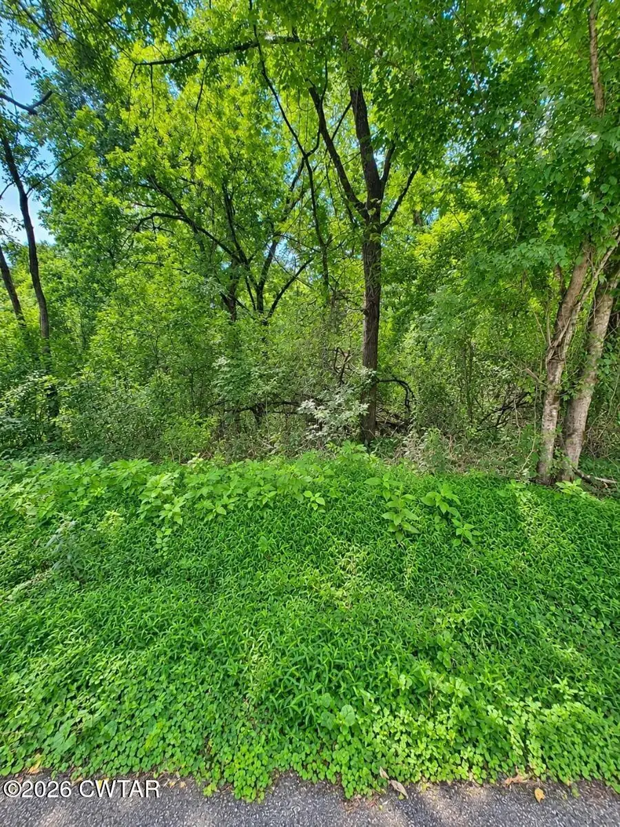 000 Reeves Street, Lexington, TN 38351 - #3