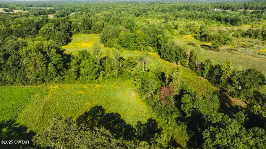 4201 Austin Springs Rd, Dukedom, TN 38226 - #3