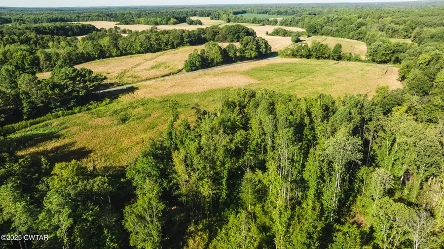 4500 Austin Springs Rd, Dukedom, TN 38226 - #2