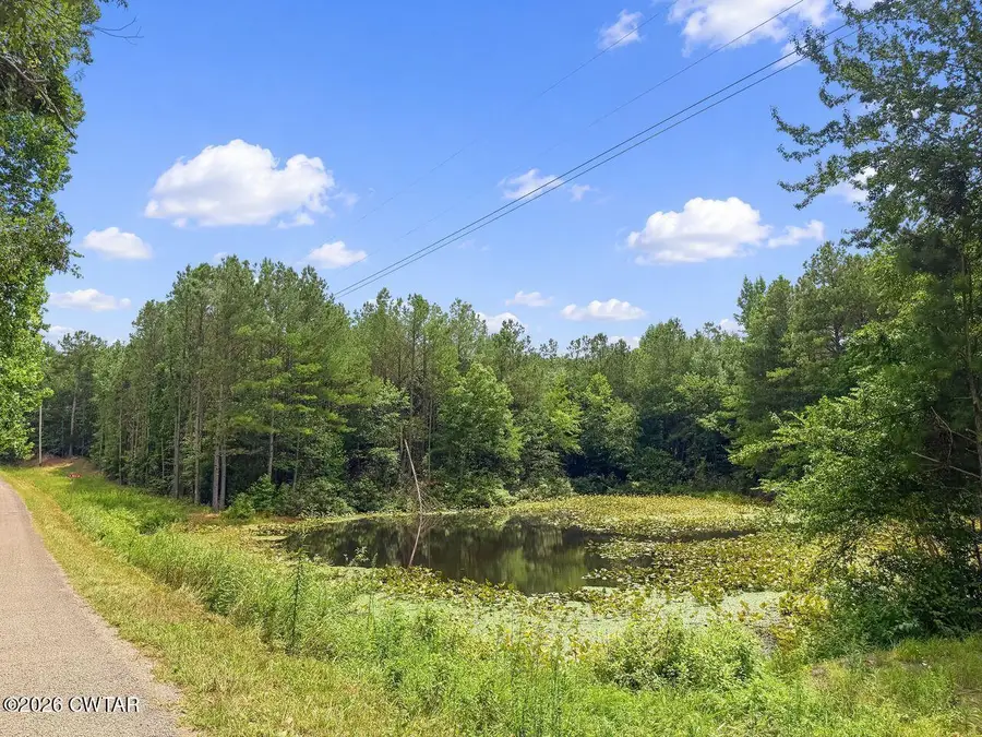 000 Highway 22 A, Lexington, TN 38351 - #2