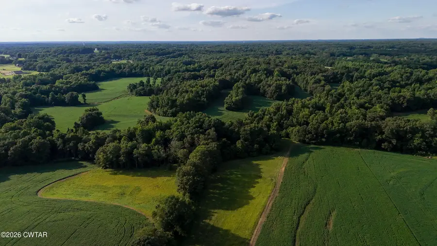 00 Watt Boone Road, Medina, TN 38355 - #2