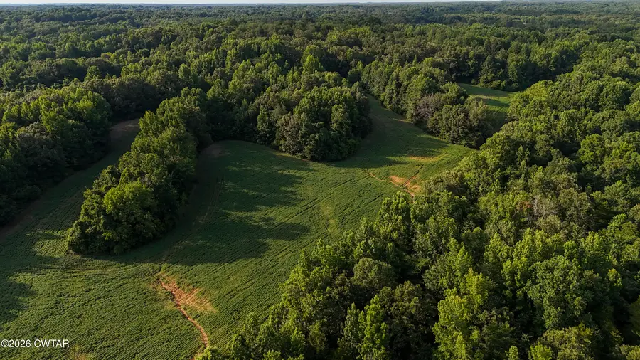 00 Watt Boone Road, Medina, TN 38355 - #3