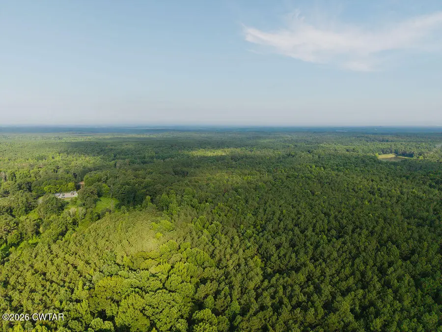 00 Moss Loop, Enville, TN 38332 - #2