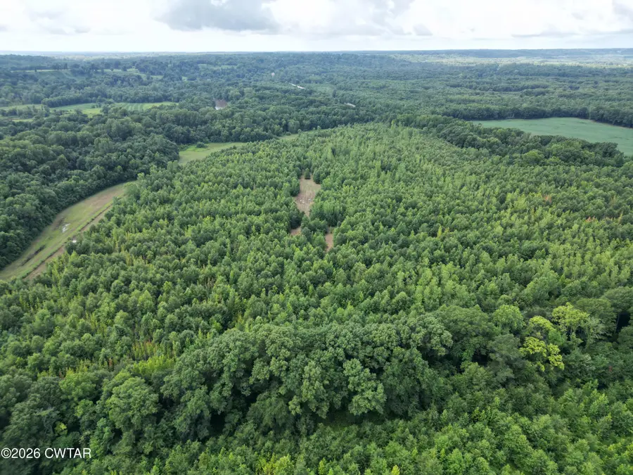 8672  Tn-78 Highway, Dyersburg, TN 38024 - #3
