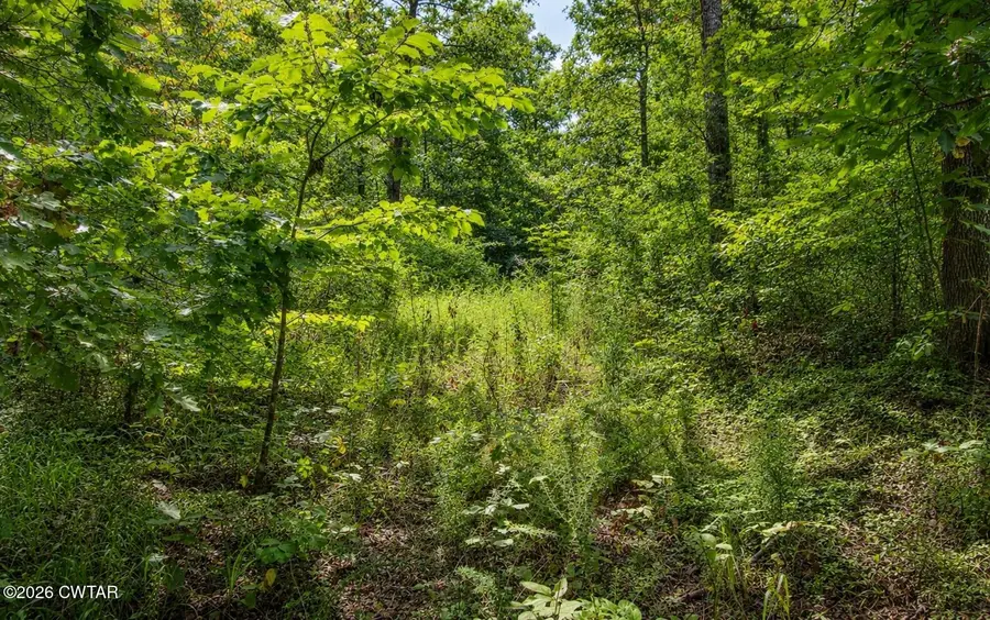 1124 Lick Creek Boat Dock Loop, Parsons, TN 38363 - #3
