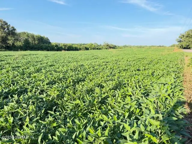 00 Westport Road, Huntingdon, TN 38344 - #1