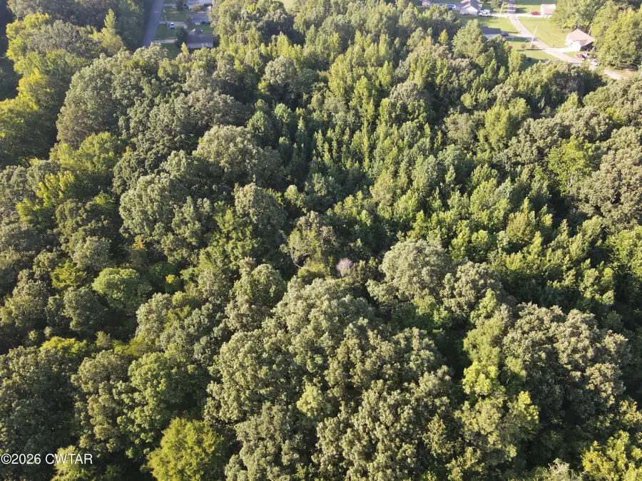 000 Juno Bargerton Rd Road, Lexington, TN 38351 - #3