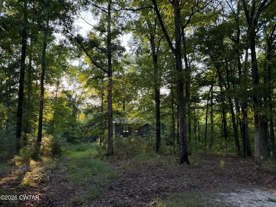 2925 Bakers Chapel Church Road, Big Sandy, TN 38221 - #3