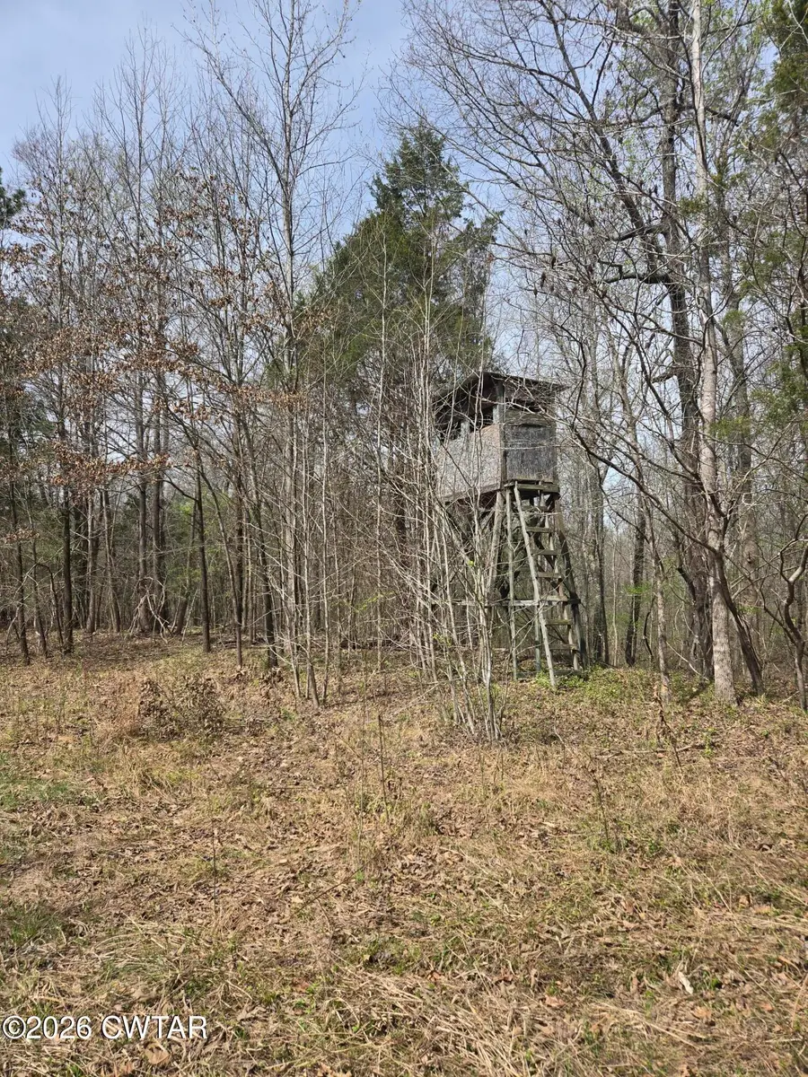 0 Sanderson Road, Mercer, TN 38392 - #2