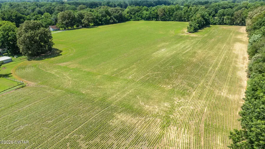 325 Harts Mill Road, Atwood, TN 38220 - #3