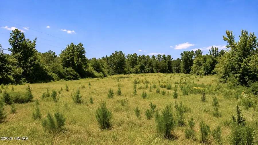 0 Old Stage Road, Decaturville, TN 38329 - #2