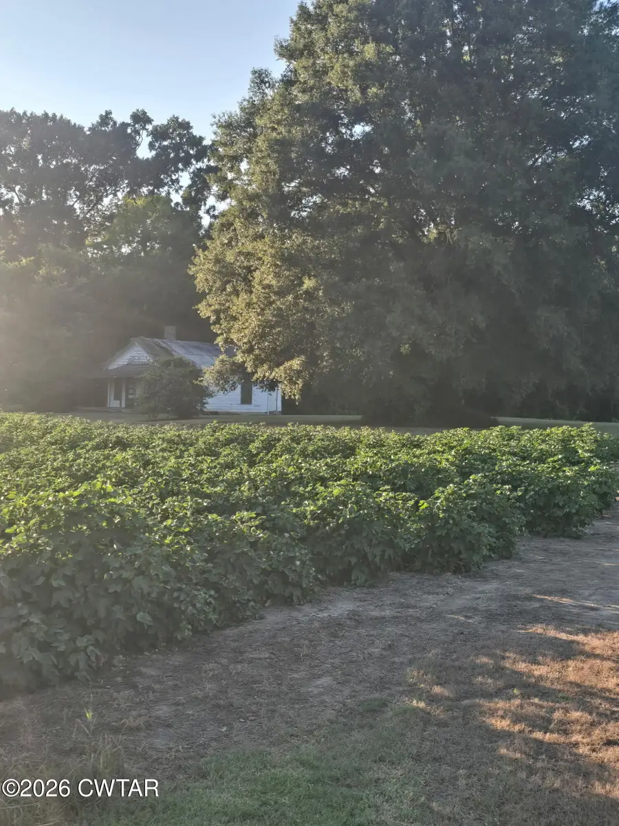 353 Cotton Grove Road, Jackson, TN 38305 - #3