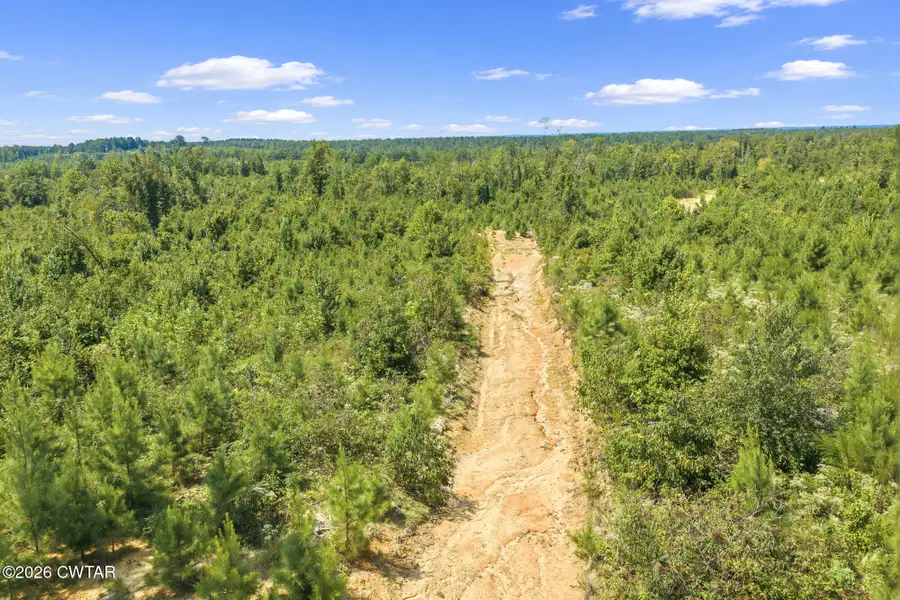 0 Rockport Mcillwain Rd Tract 2, Holladay, TN 38341 - #3