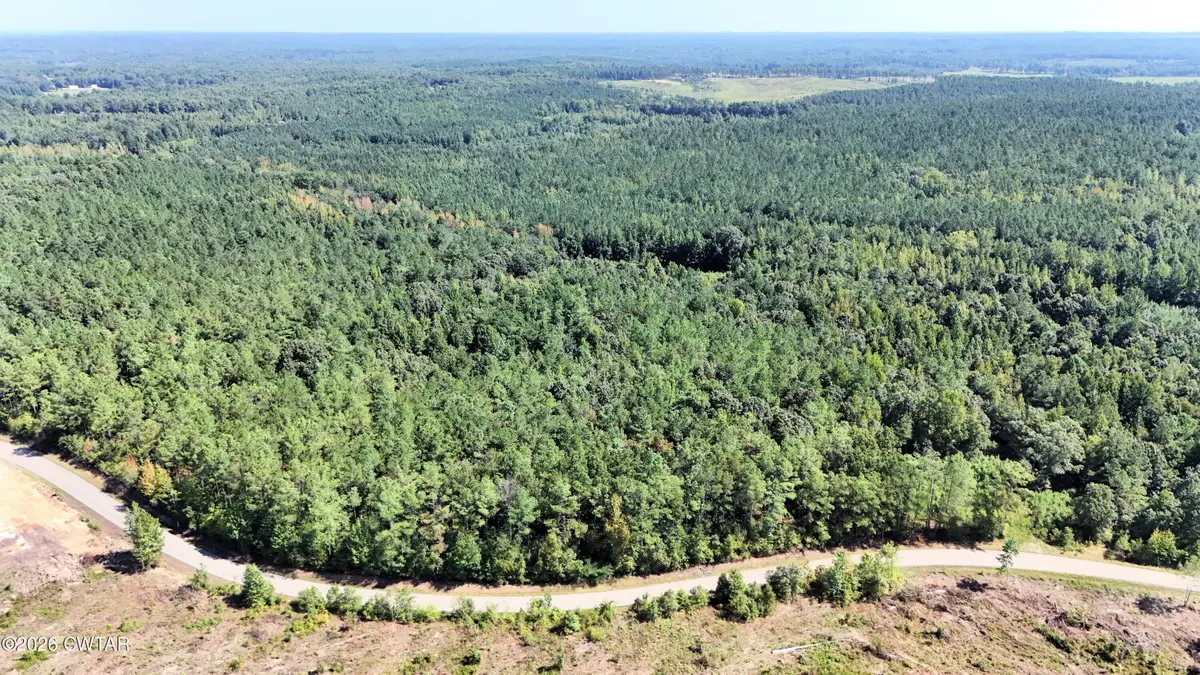 1098 Otis Paine Road, Bethel Springs, TN 38315 - #1