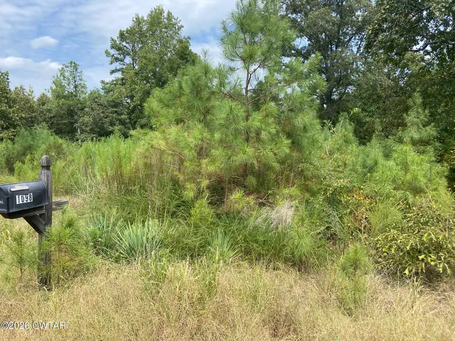 1098 Otis Paine Road, Bethel Springs, TN 38315 - #2