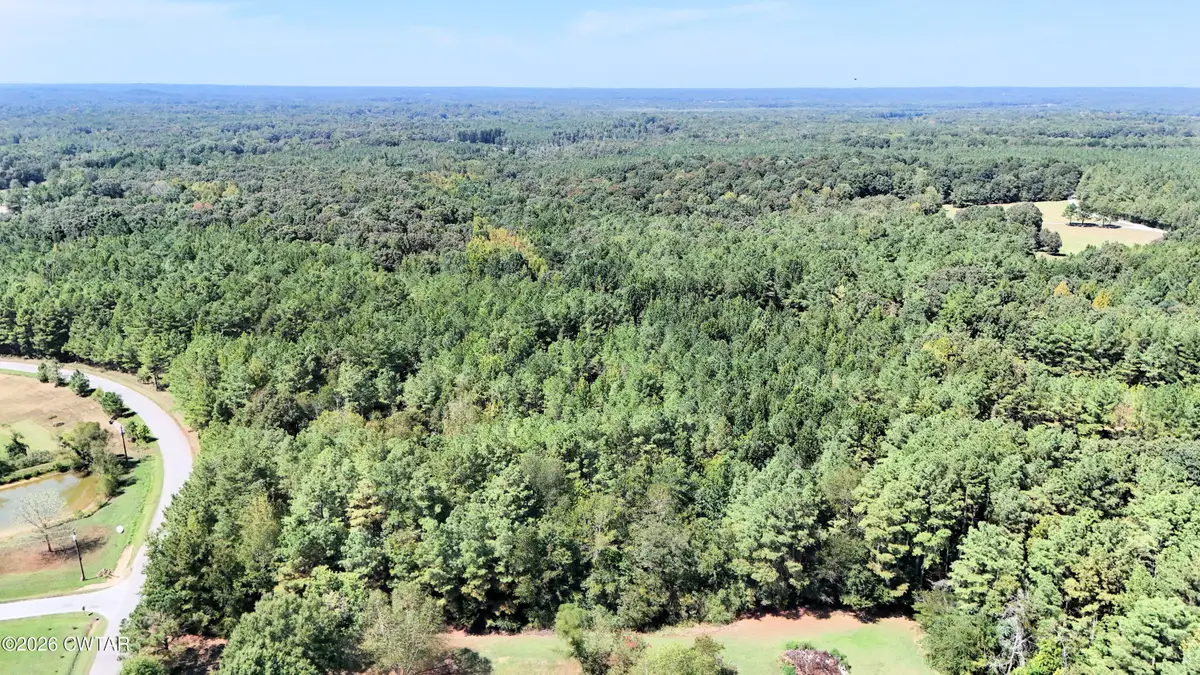 00 Mount Pleasant Road, Beech Bluff, TN 38313 - #1