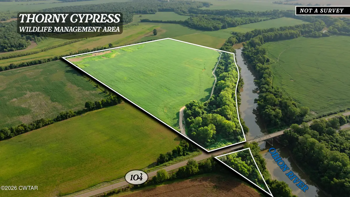 0 Highway 104 W, Finley, TN 38030 - #1
