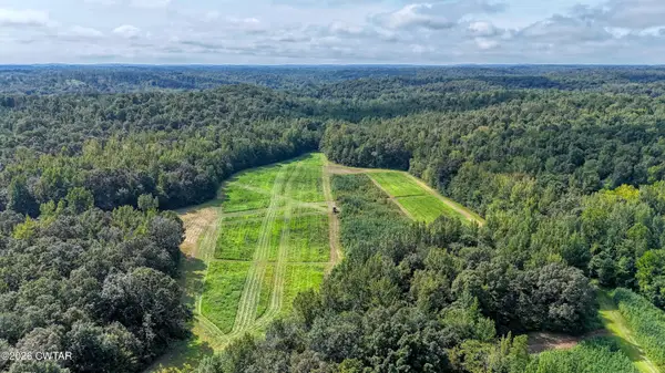 5650 Sulphur Creek Road, Big Sandy, TN 38221