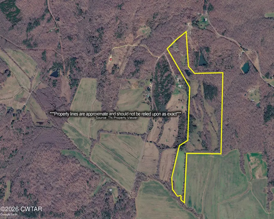 9960 Darden Christian Chp Road, Wildersville, TN 38388 - #3
