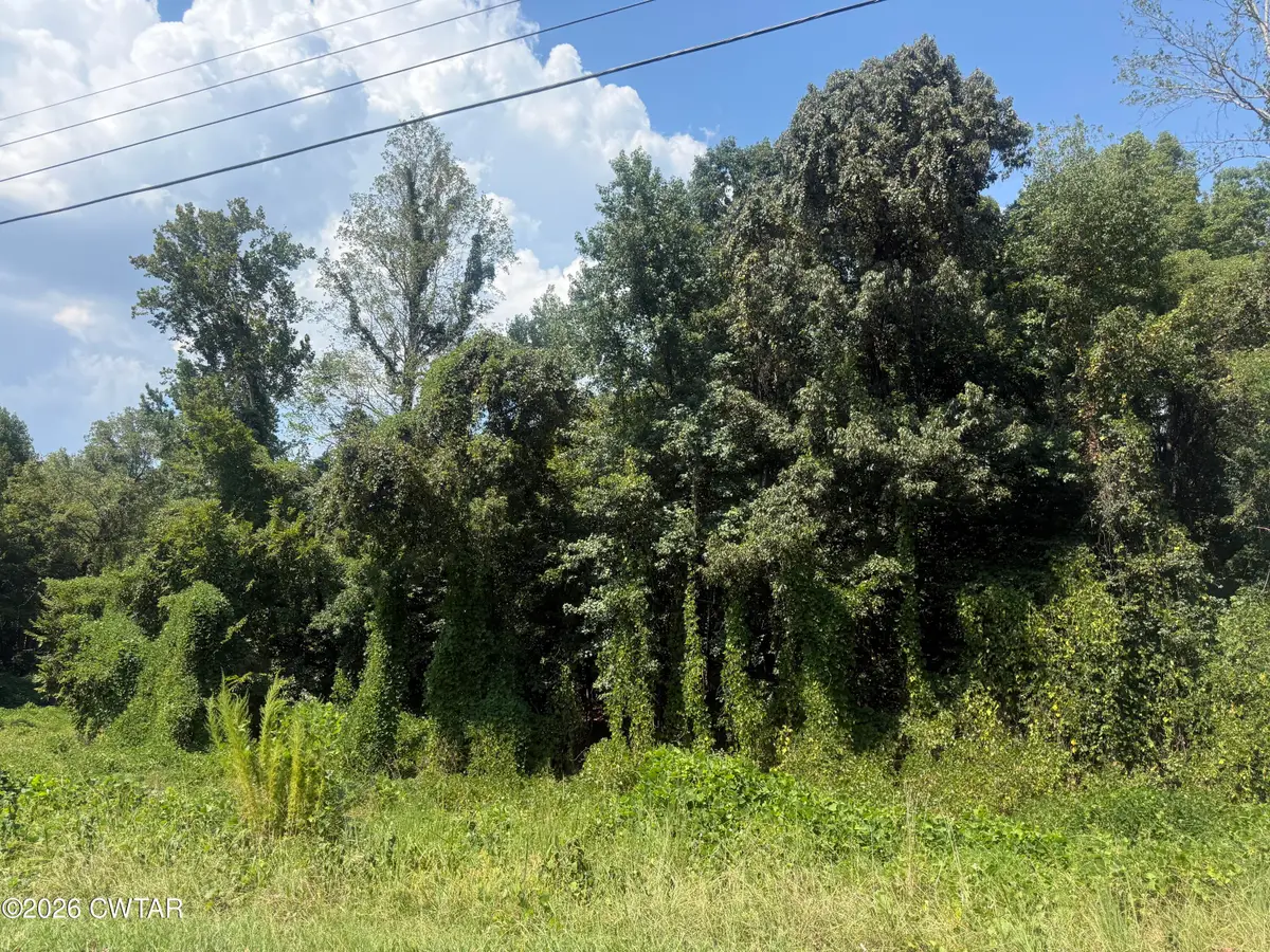 000 Blackberry Hill Circle, Lexington, TN 38351 - #1