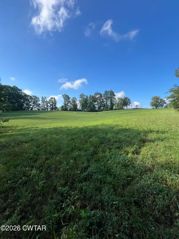 00 Strayleaf Road, Wildersville, TN 38388