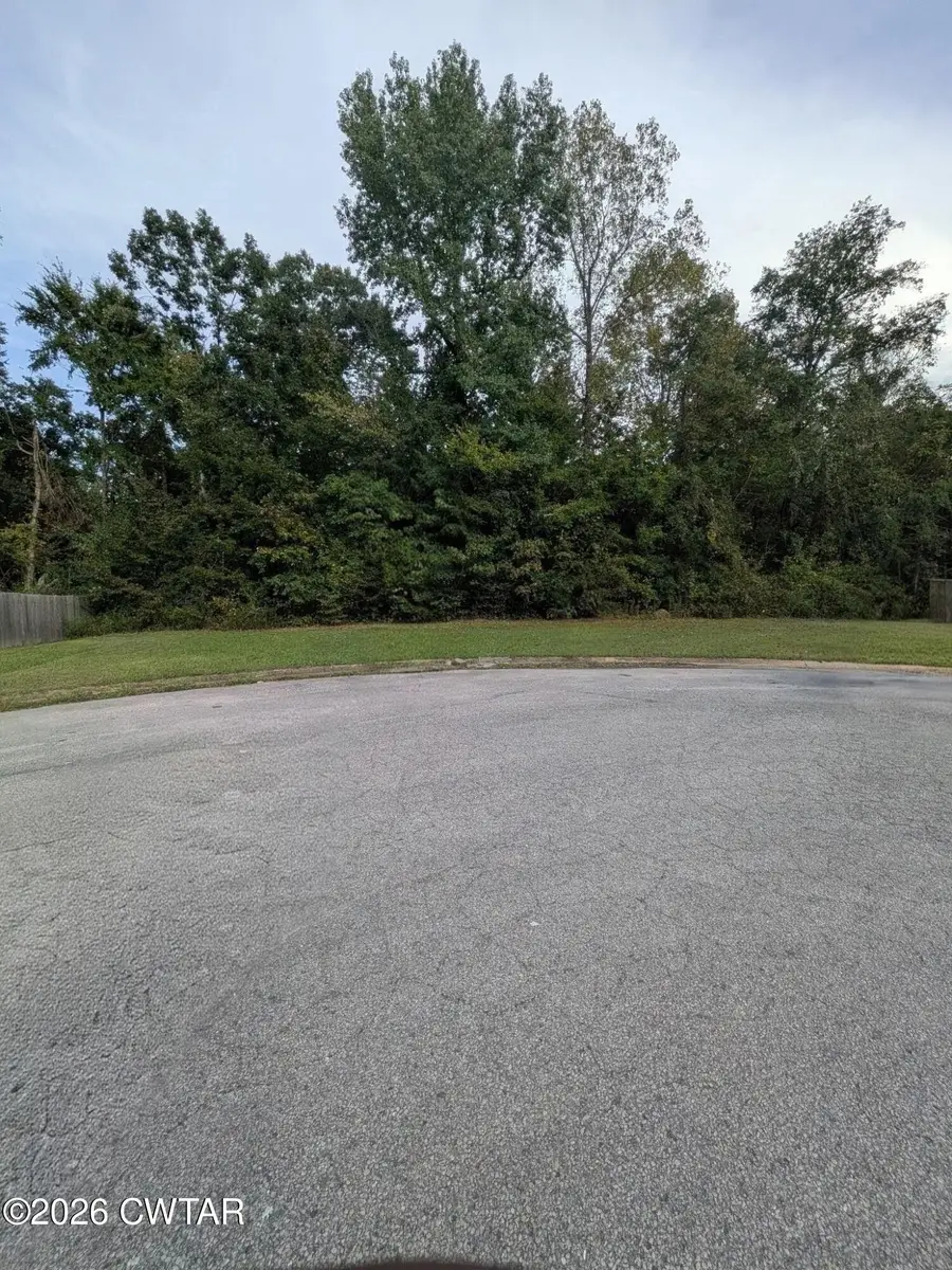 93 Double Creek Cove, Jackson, TN 38305 - #2