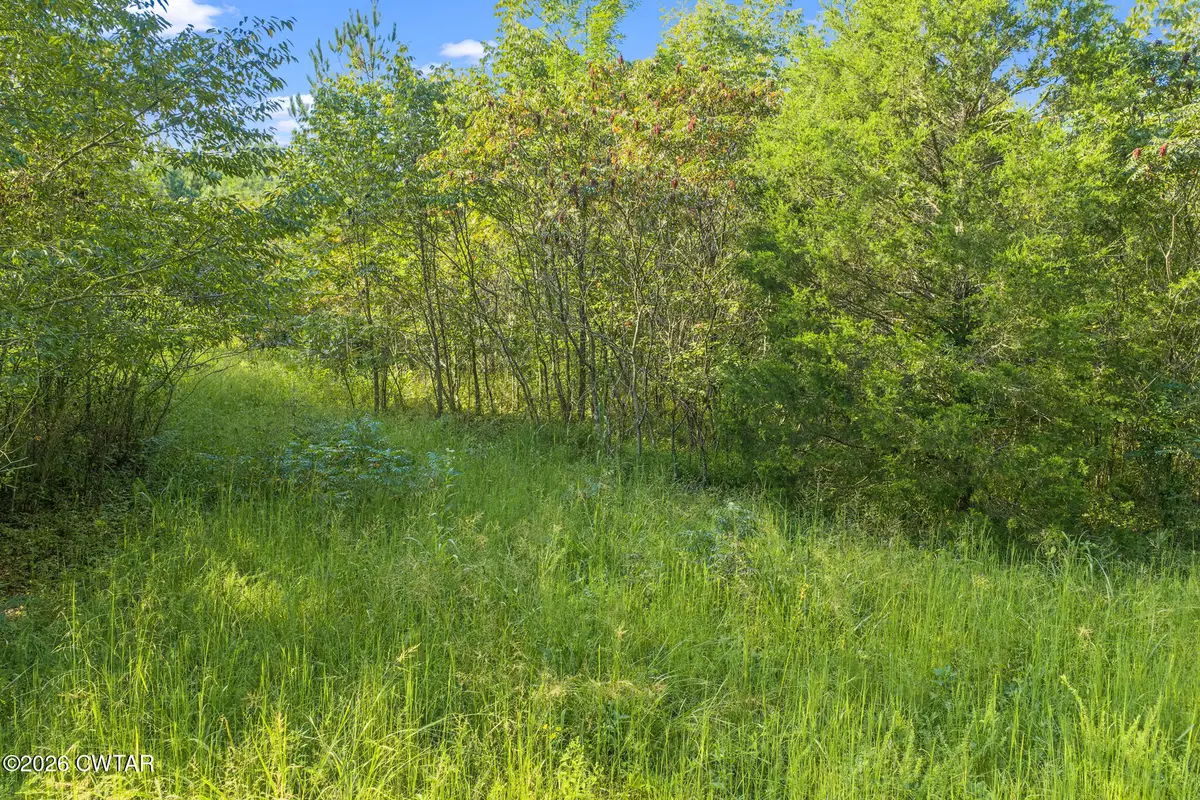 0 Horny Head Creek Road, Parsons, TN 38363 - #1