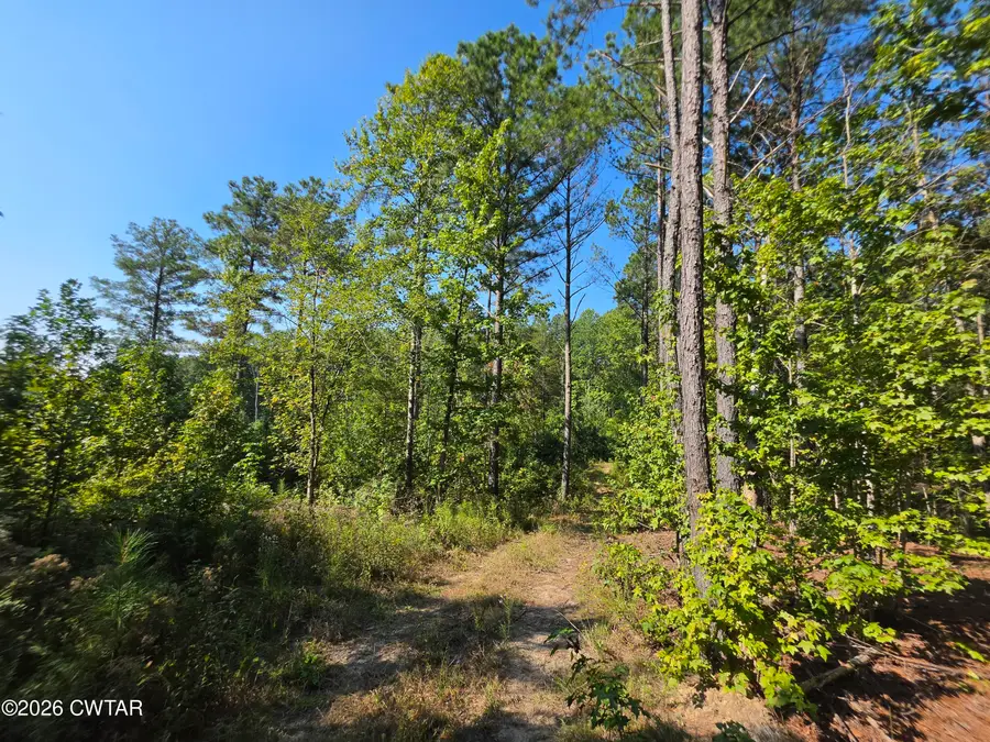 255 Kee Lane, Camden, TN 38320 - #2