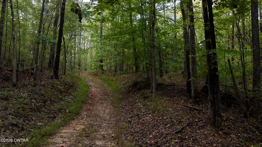 0 Ridge Road, Medina, TN 38355 - #3