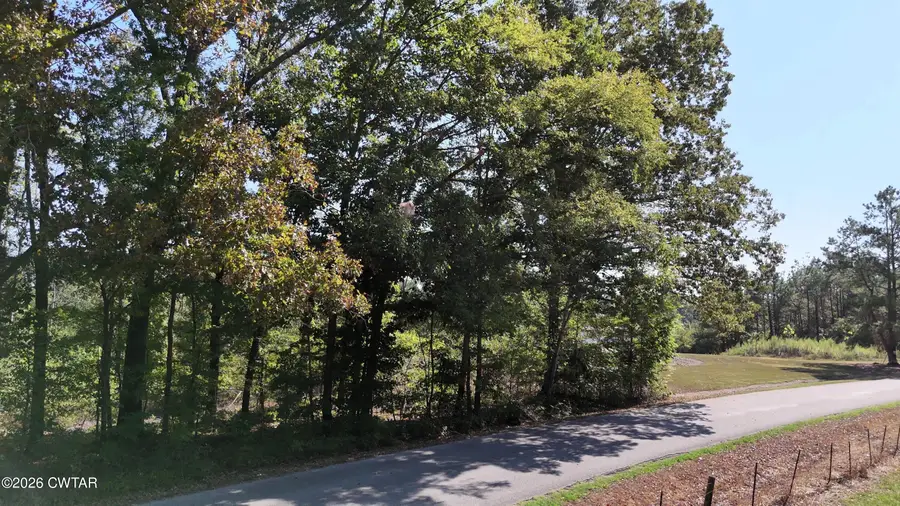 0 New Friendship Road, Beech Bluff, TN 38313 - #2