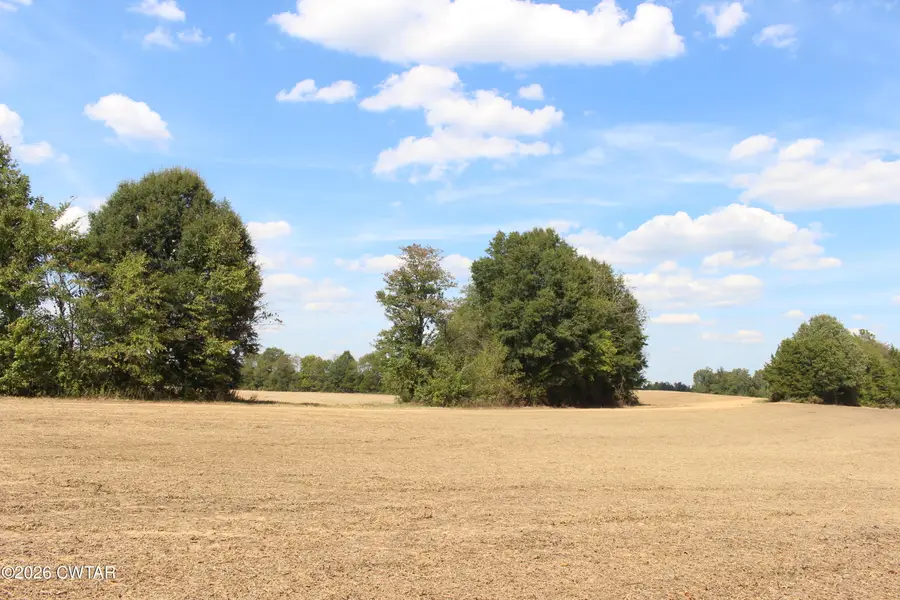 Tract 2 Cotton Grove Road, Jackson, TN 38305 - #3