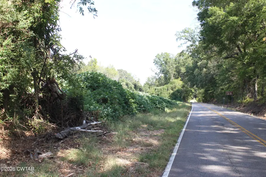 Tract 3 Cotton Grove Road, Jackson, TN 38305 - #3