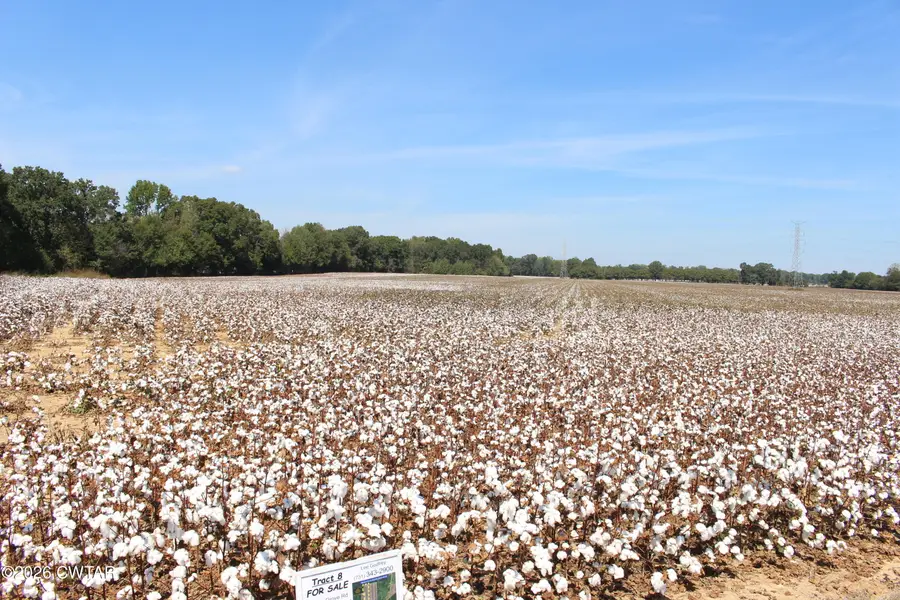 Tract 8 Cotton Grove Road, Jackson, TN 38305 - #3