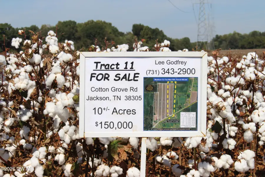 Tract 11 Cotton Grove Road, Jackson, TN 38305 - #2