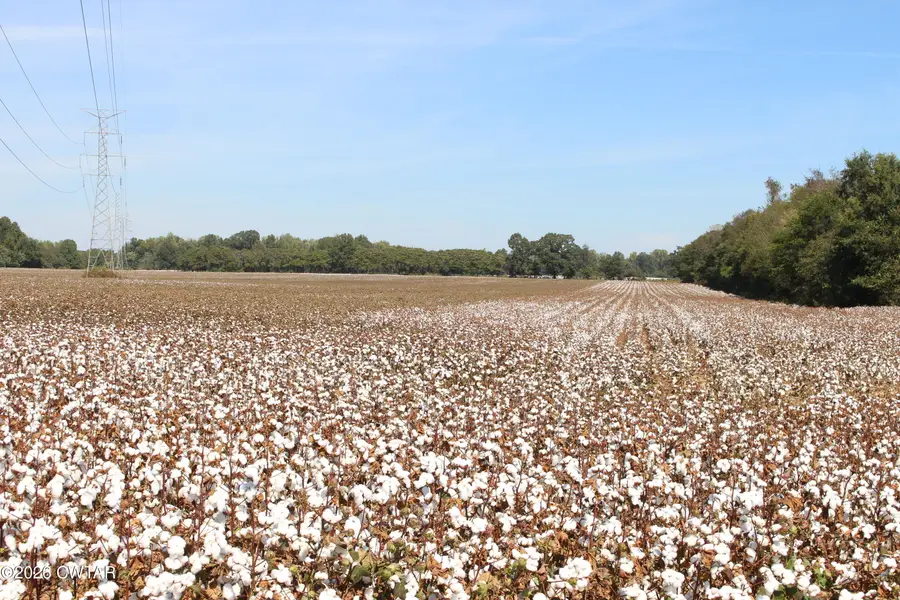 Tract 11 Cotton Grove Road, Jackson, TN 38305 - #3