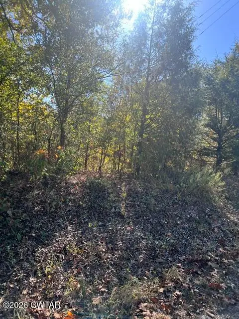0 Norwood Road Road, Mansfield, TN 38236 - #2
