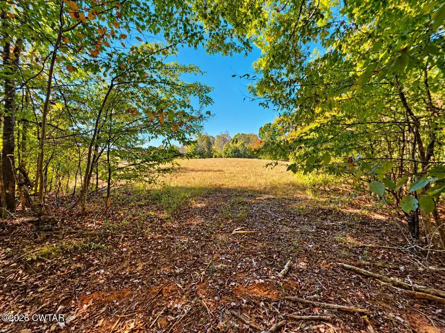 00 Highway 114 W, Bath Springs, TN 38311 - #2