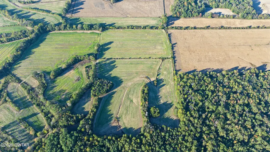 2849 Strayleaf Road, Wildersville, TN 38388 - #3