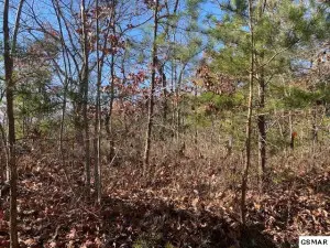 Lot 69 Poplar Place, Sevierville, TN 37876 - Image #1