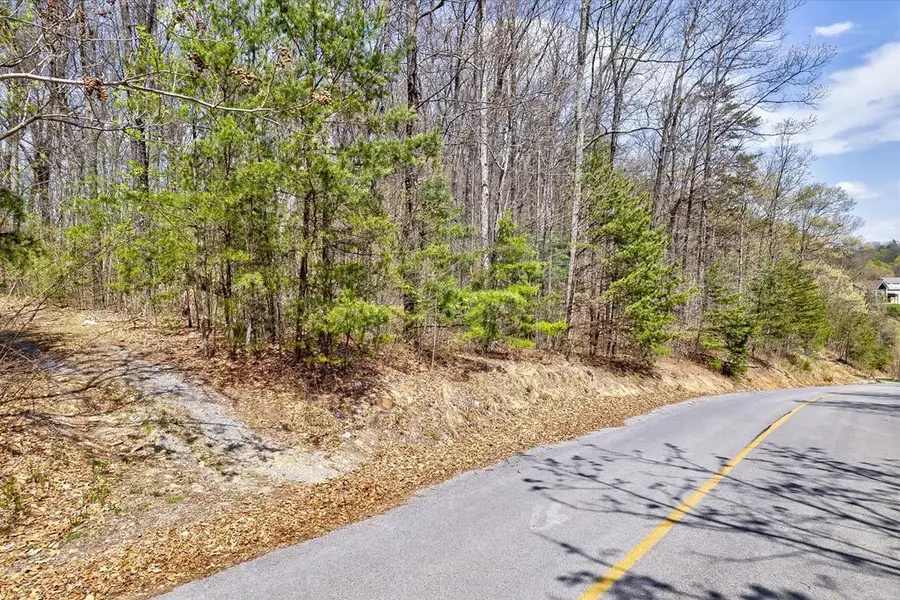 Lot 125E Settlers View Lane, Sevierville, TN 37862 - #2