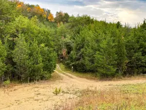 Parrotts Chapel, Sevierville, TN 37876 - #3