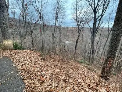 Lot 6 Ski Mtn Road, Gatlinburg, TN 37738 - #1