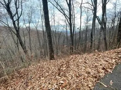 Lot 6 Ski Mtn Road, Gatlinburg, TN 37738 - #3