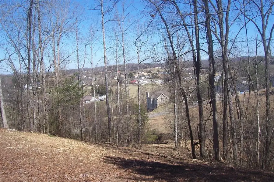 Lot 5 Sandpiper Court, Kodak, TN 37764 - Image #2