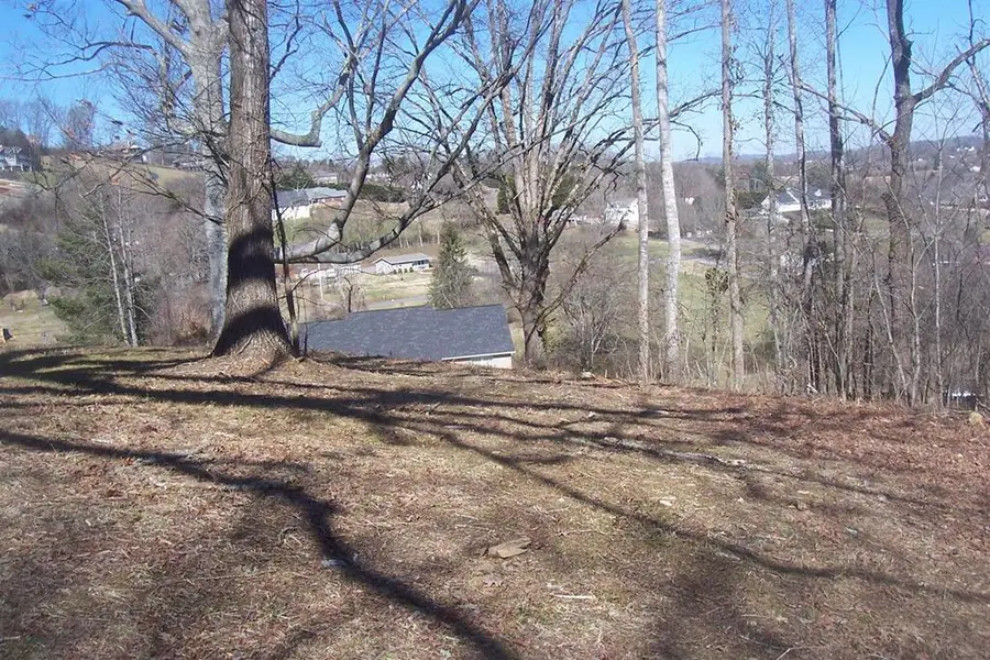 Lot 5 Sandpiper Court, Kodak, TN 37764 - Image #3