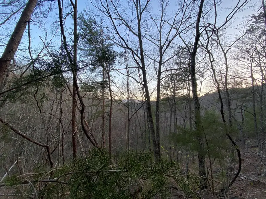 Lot 46 Beechwood Street, Sevierville, TN 37876 - #2
