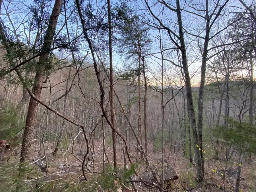Lot 46 Beechwood Street, Sevierville, TN 37876 - #3