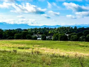 Hwy 139, Dandridge, TN 37725 - Image #3